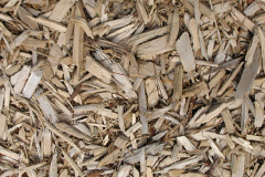 biomass boilers Moyle